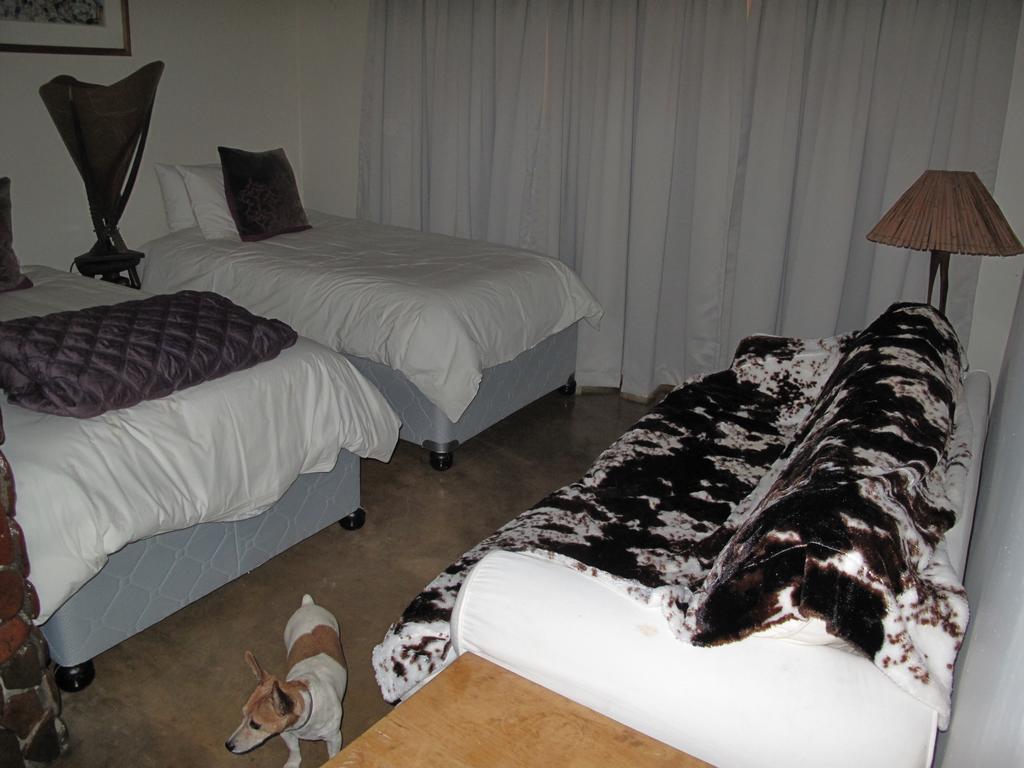 Caracal Lodge Άλκμααρ Εξωτερικό φωτογραφία
