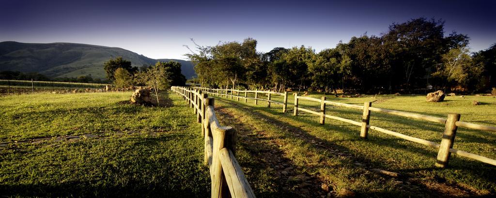 Caracal Lodge Άλκμααρ Εξωτερικό φωτογραφία
