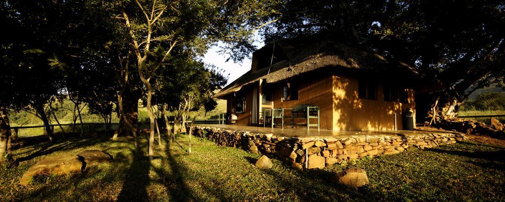 Caracal Lodge Άλκμααρ Δωμάτιο φωτογραφία