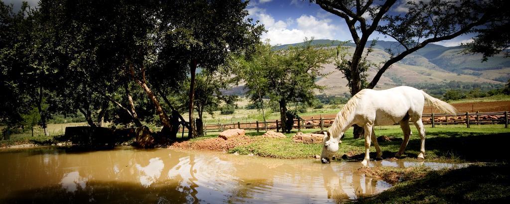 Caracal Lodge Άλκμααρ Δωμάτιο φωτογραφία