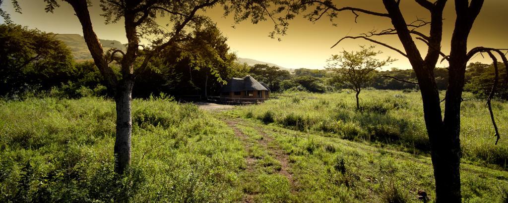 Caracal Lodge Άλκμααρ Δωμάτιο φωτογραφία