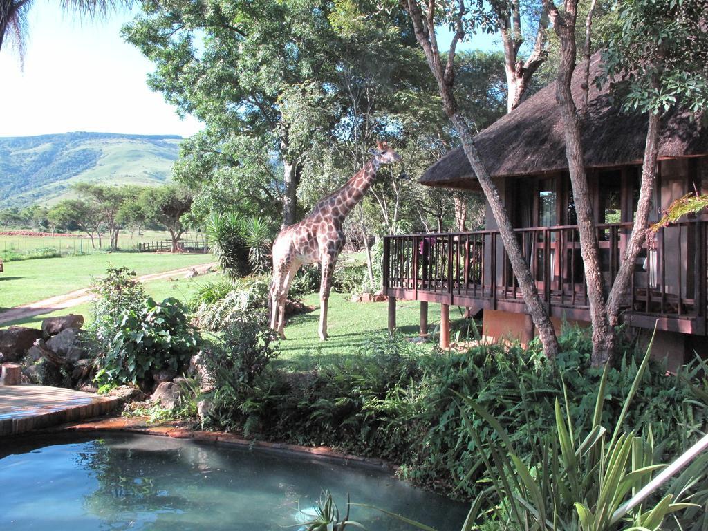Caracal Lodge Άλκμααρ Εξωτερικό φωτογραφία