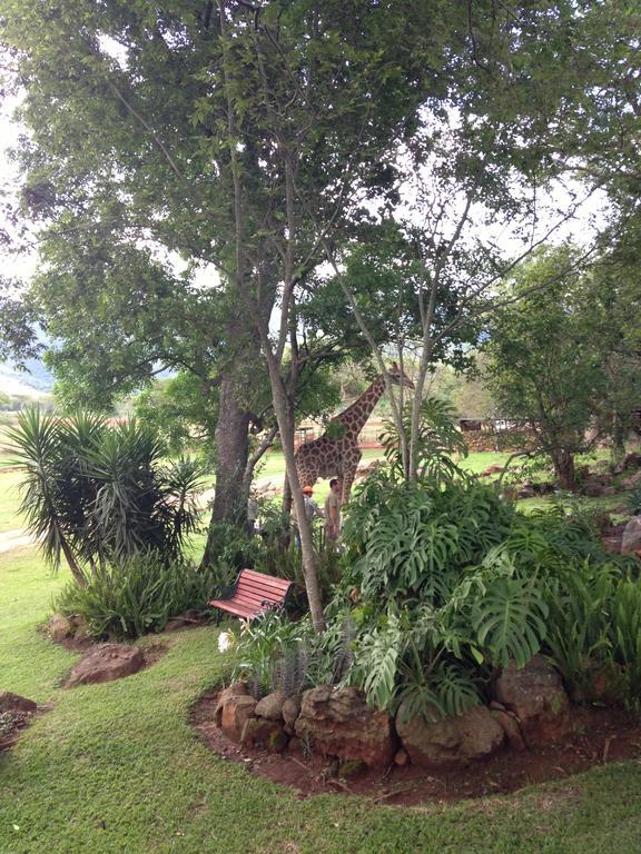Caracal Lodge Άλκμααρ Εξωτερικό φωτογραφία