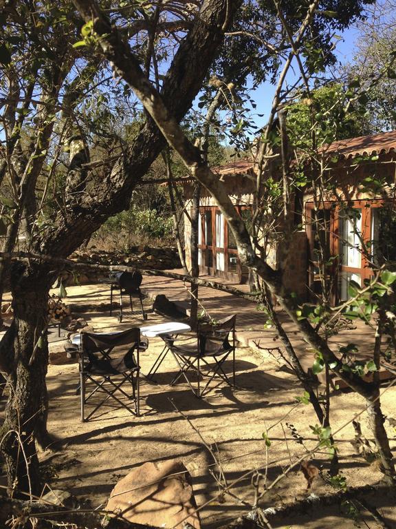 Caracal Lodge Άλκμααρ Δωμάτιο φωτογραφία