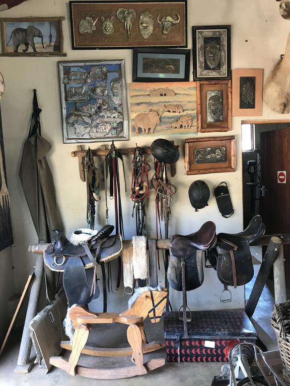 Caracal Lodge Άλκμααρ Εξωτερικό φωτογραφία