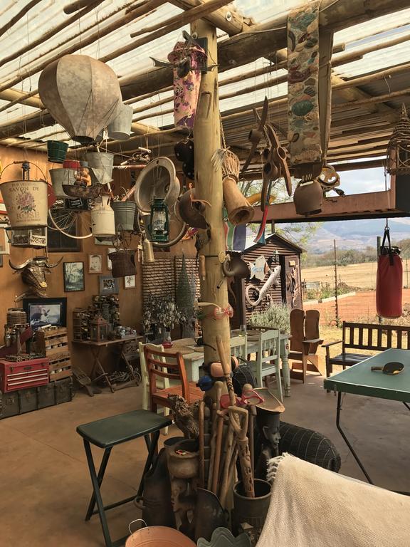 Caracal Lodge Άλκμααρ Εξωτερικό φωτογραφία